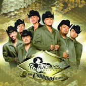 Alacranes Musical